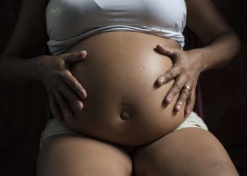 Zika infects lab brain cells, strengthens link to microcephaly